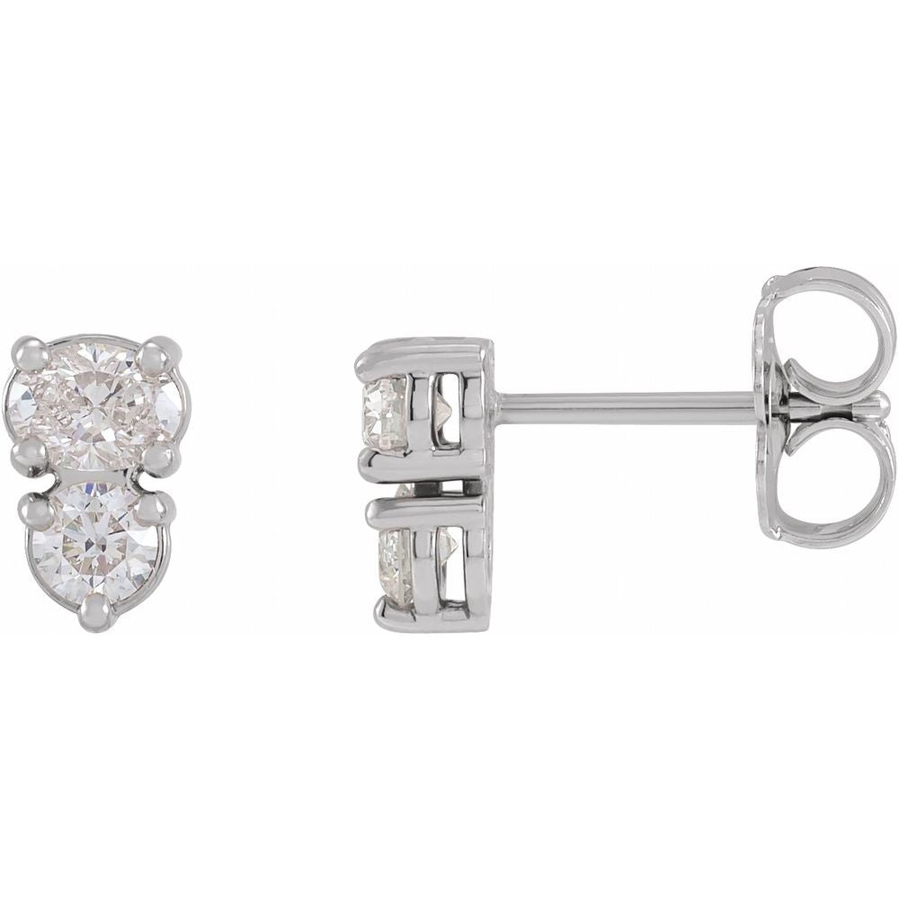 Lupine Double Stud