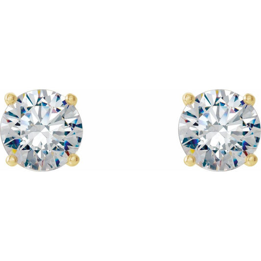 Orchid 4 Prong Studs