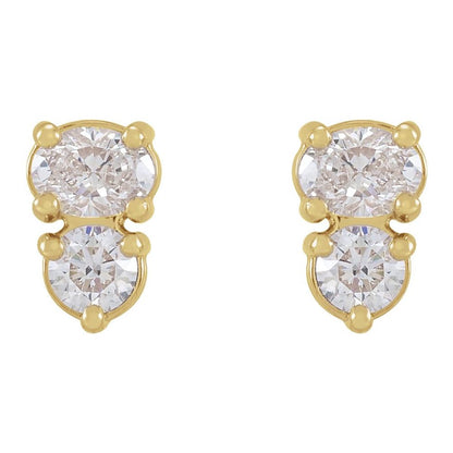 Lupine Double Stud